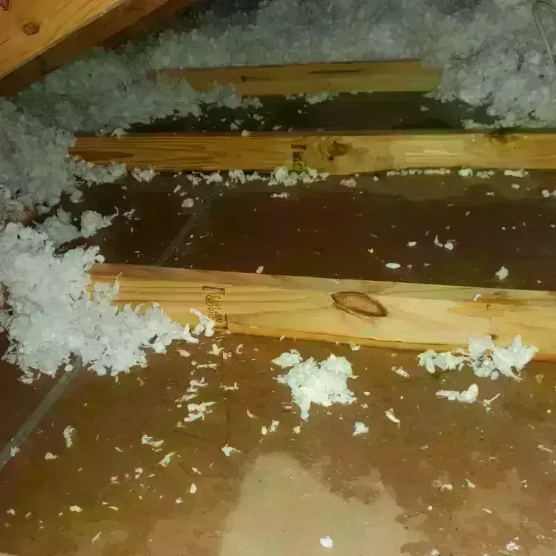 Attic Water Damage in Dalton, GA