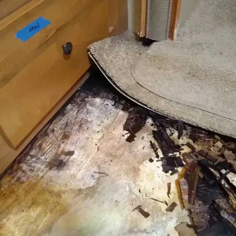 Wood Floor Water Damage in Dalton, GA